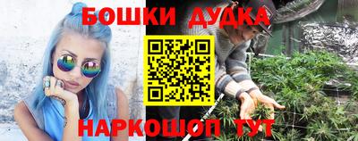 spice Будённовск