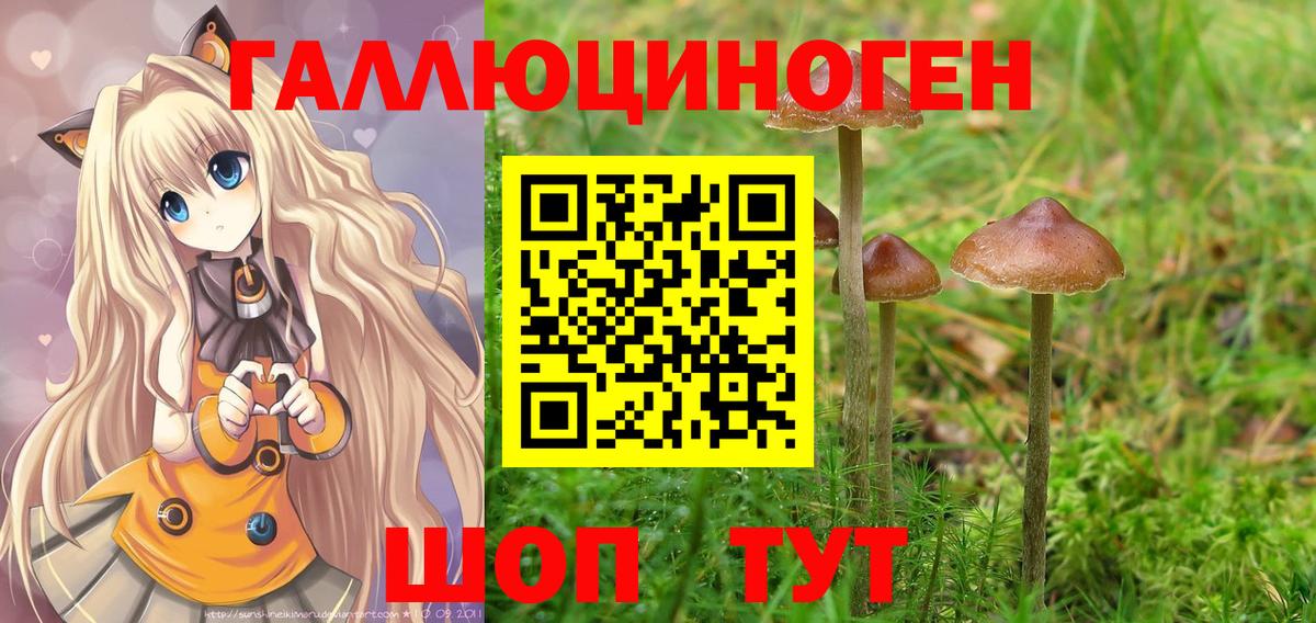 Галлюциногенные грибы Psilocybine cubensis Славянск-на-Кубани