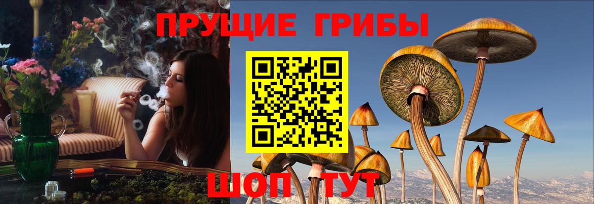 Псилоцибиновые грибы мухоморы  Псилоцибиновые грибы прущие грибы  Вход с VPN  Славянск-на-Кубани 